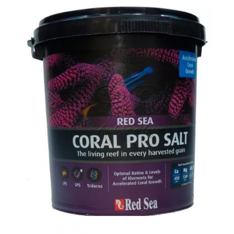 SAL RED SEA CORAL PRO 22KG 660L - BALDE 